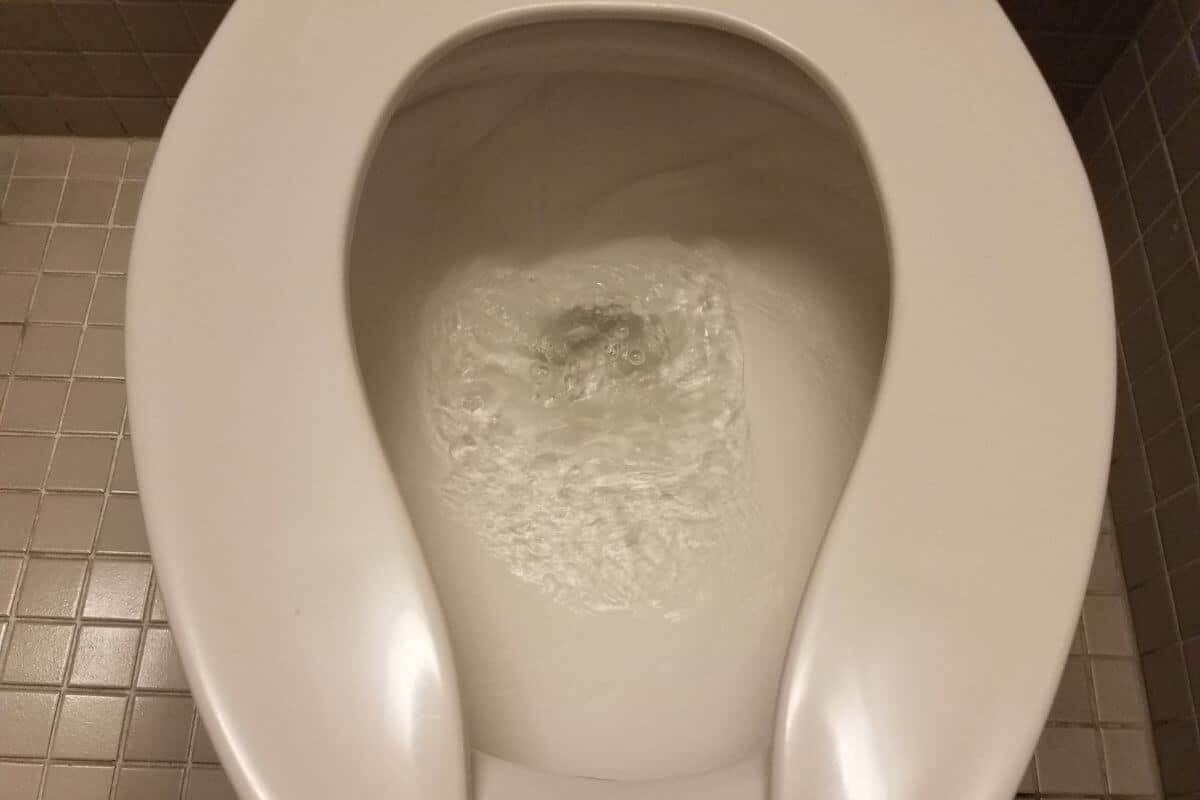 How To Flush Poop That Is Too Big To Flush (4 Simple Hacks)