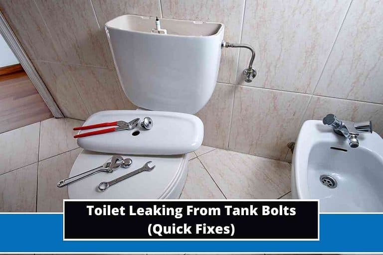 Toilet Leaking From Tank Bolts