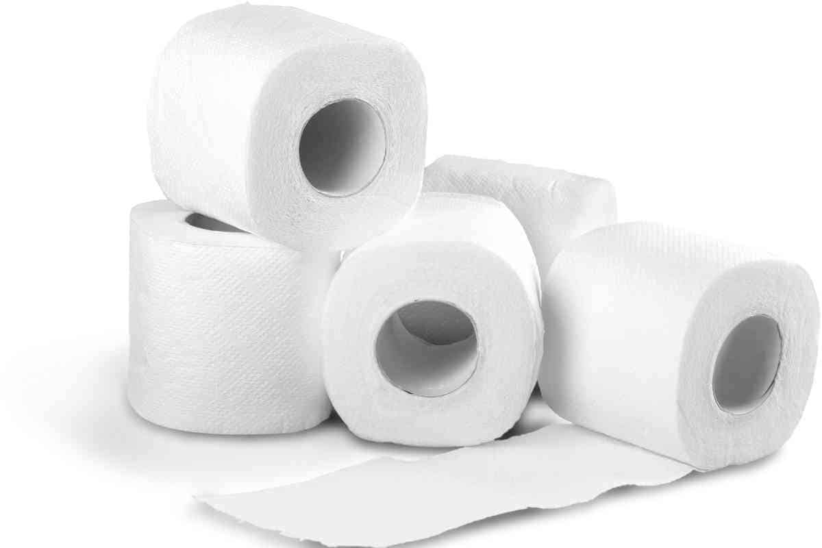How to Dissolve Toilet Paper in Septic Tank (2 Proven Ways)
