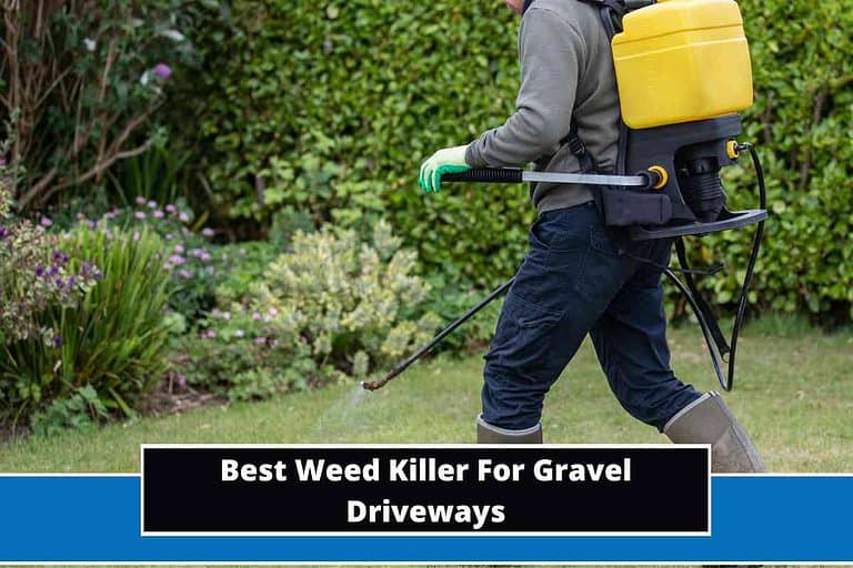 Best Weed Killer For Gravel Driveways