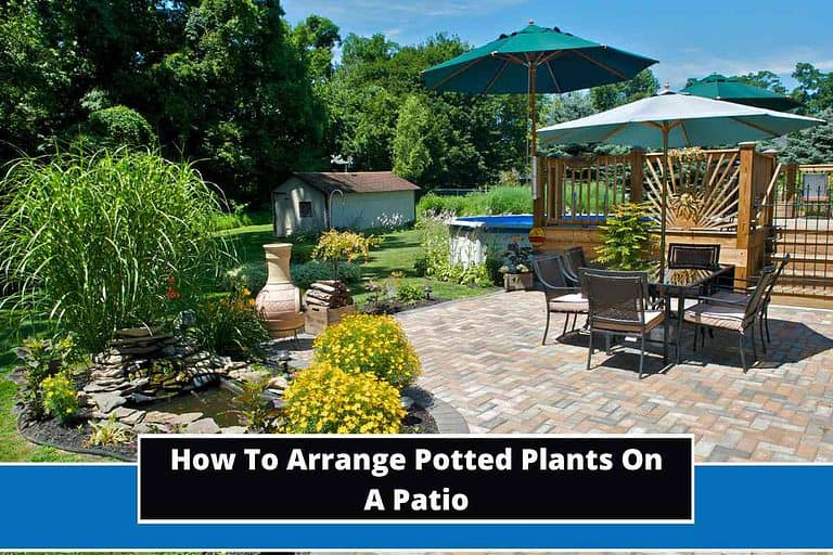 How To Arrange Potted Plants On A Patio