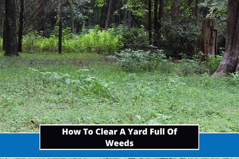 How To Clear A Yard Full Of Weeds