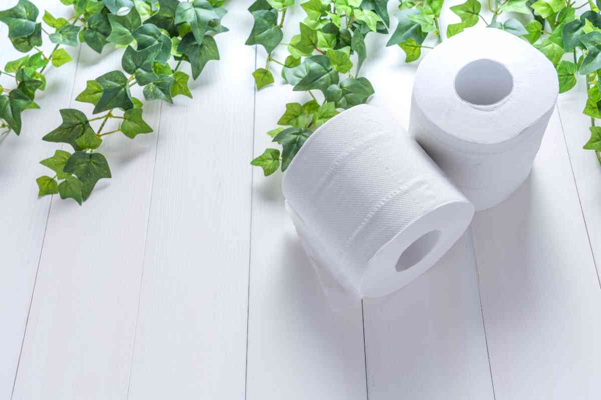 Biodegradable Toilet Paper For Septic Tanks Biodegradable Toilet Paper For Septic Tanks