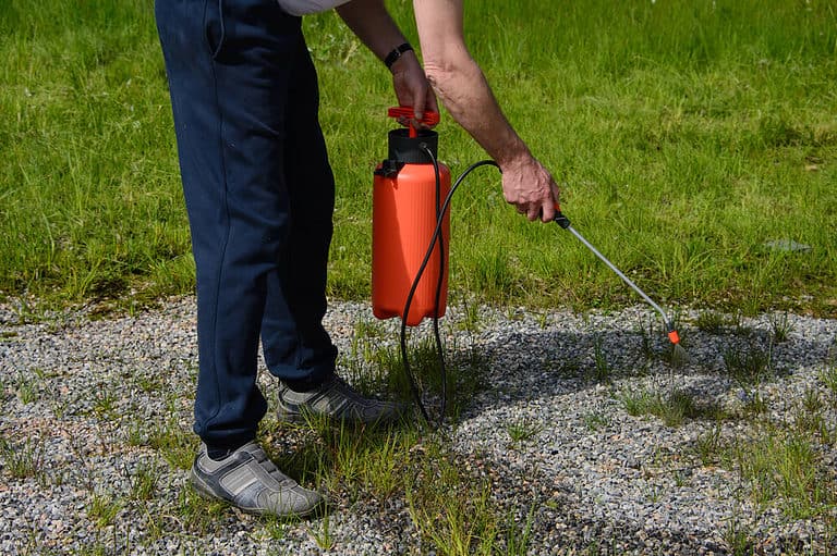 How To Stop Weeds From Growing In Gravel