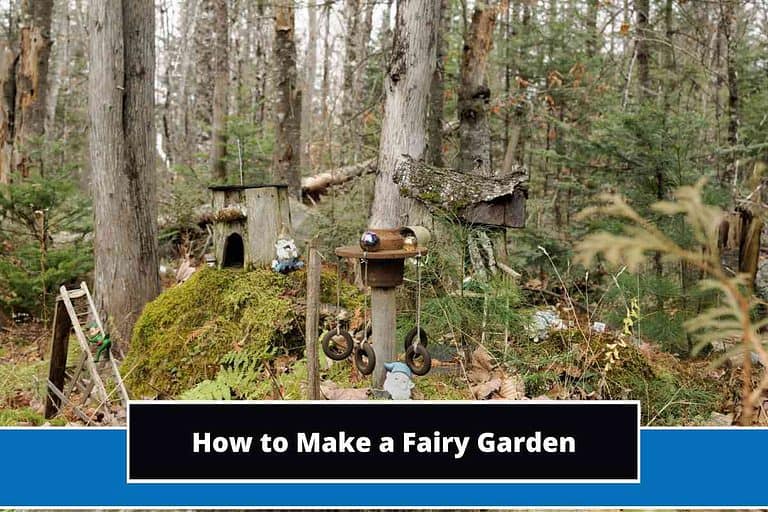 How to Make a Fairy Garden