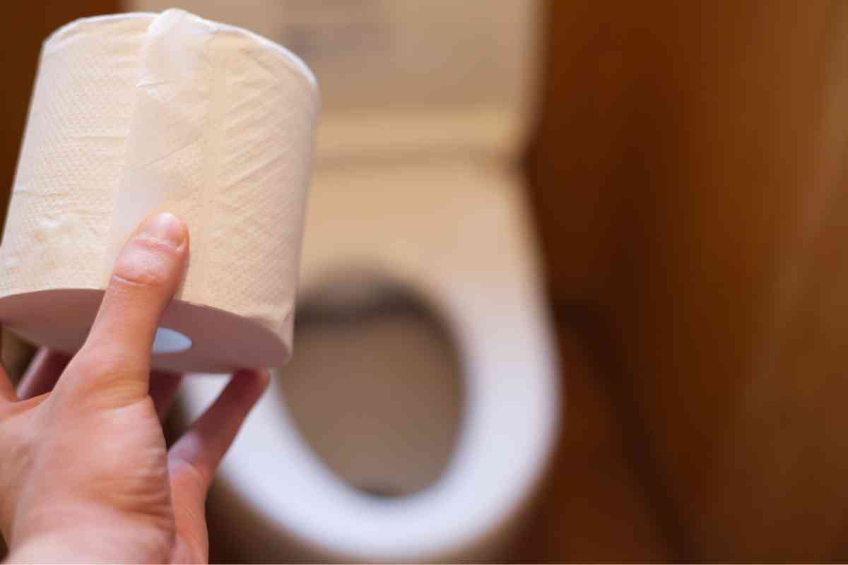 Is Bamboo Toilet Paper Septic Safe? (Fully Explained)