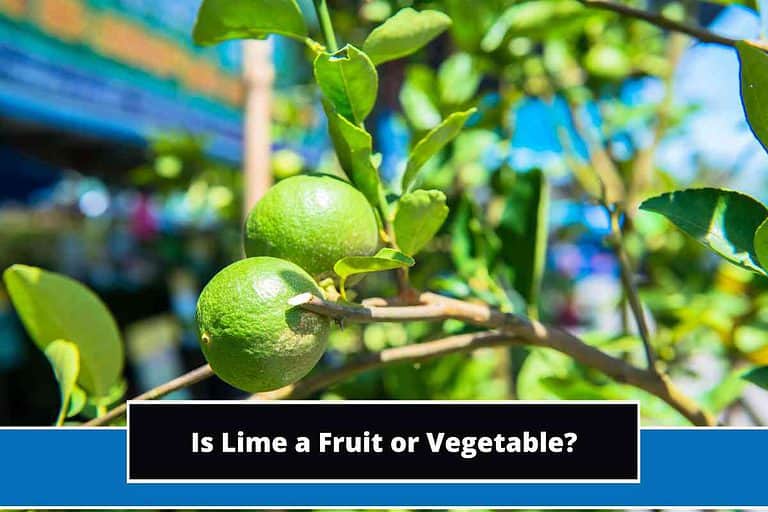 Is Lime a Fruit or Vegetable