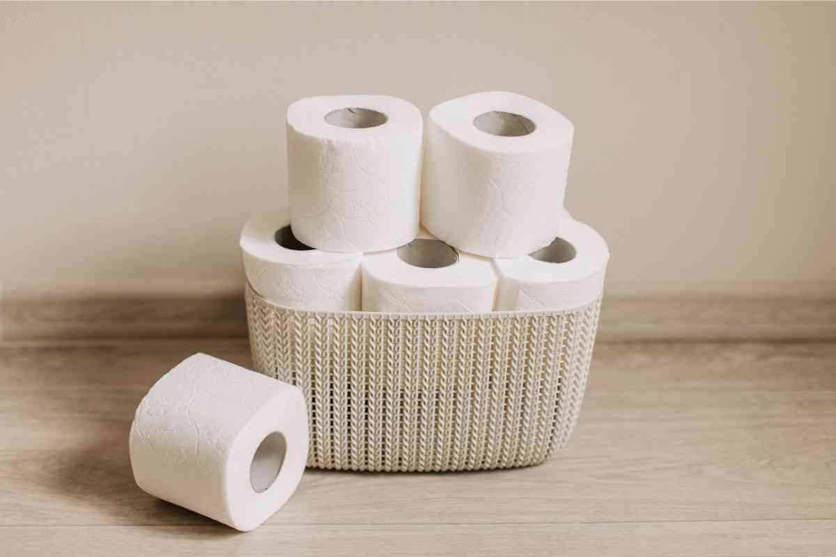 Is Quilted Northern Toilet Paper Septic Safe? (Explained)