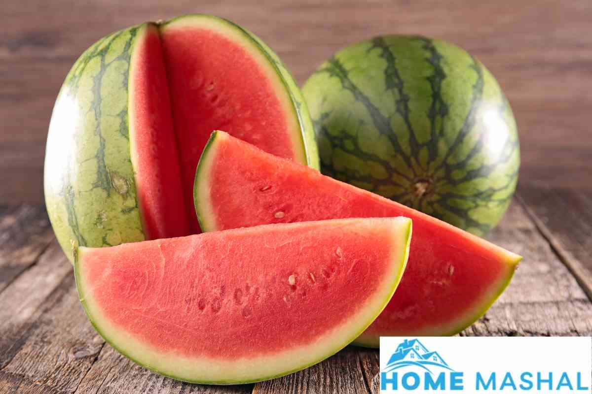 Is Watermelon a Fruit or a Vegetable?