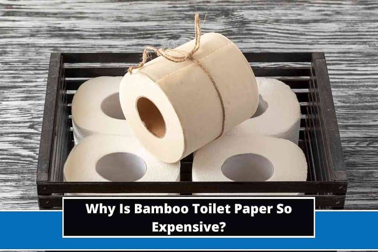 Why Is Bamboo Toilet Paper So Expensive