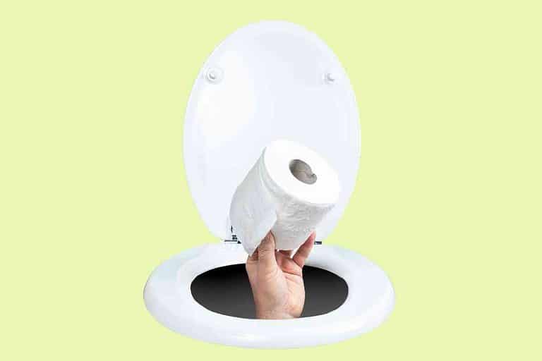 Is Cottonelle Toilet Paper Septic Safe? (Yes, But Read This)