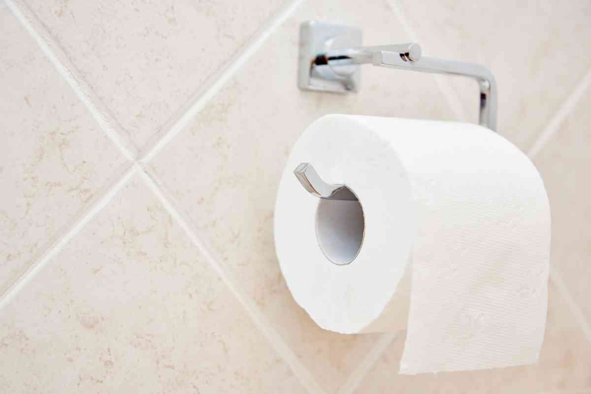 Is Kirkland Toilet Paper Septic Safe? (Detailed Overview)