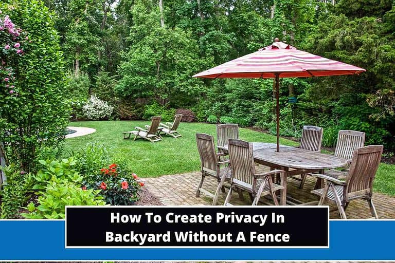 How To Create Privacy In Backyard Without A Fence