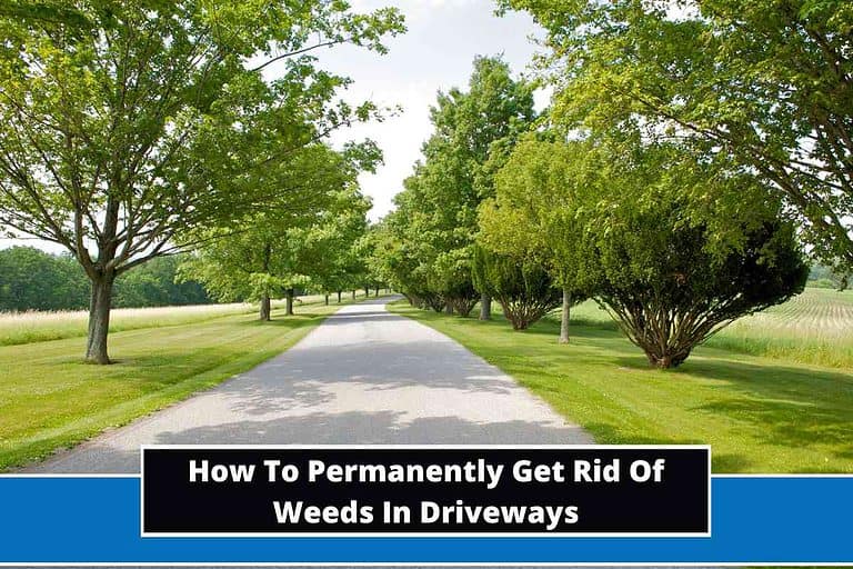 How To Permanently Get Rid Of Weeds In Driveways