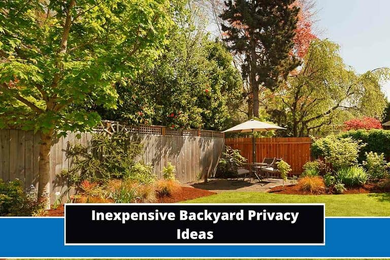 Inexpensive Backyard Privacy Ideas