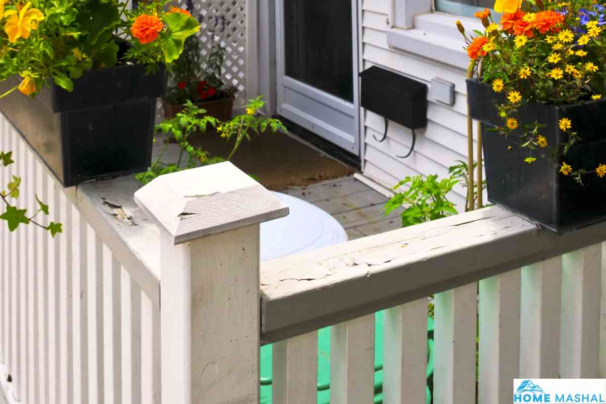 16 Best Landscaping Ideas To Block Neighbors (With Photos)