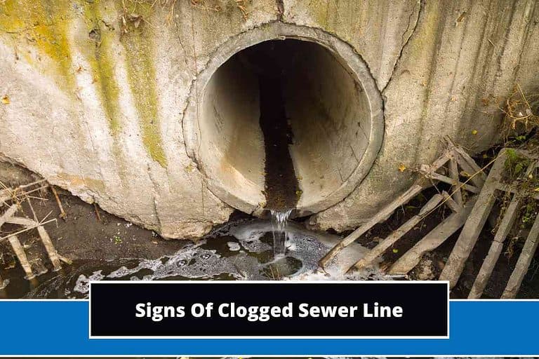 Signs Of Clogged Sewer Line