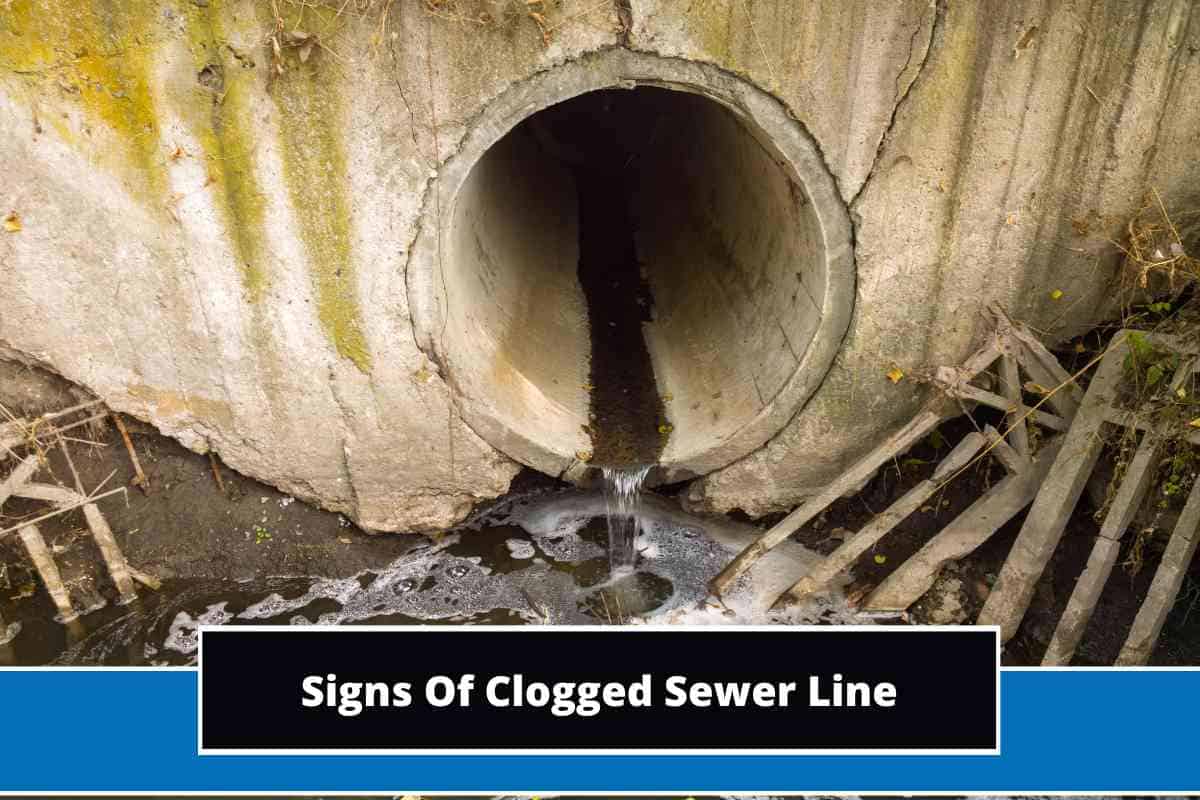Top 5 Signs of Clogged Sewer Line (Key Causes & Fixes)
