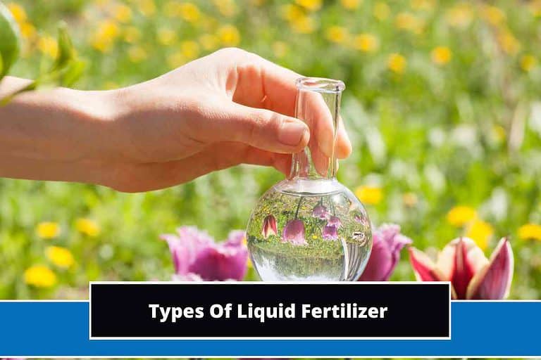 Types Of Liquid Fertilizer