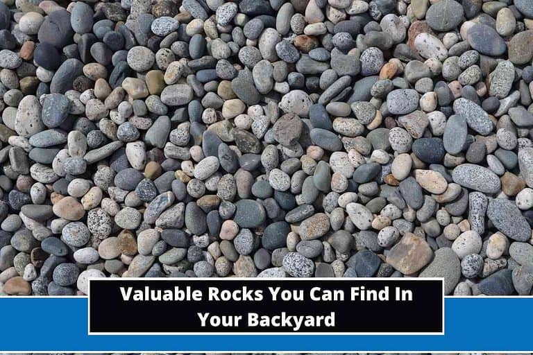 Valuable Rocks You Can Find In Your Backyard