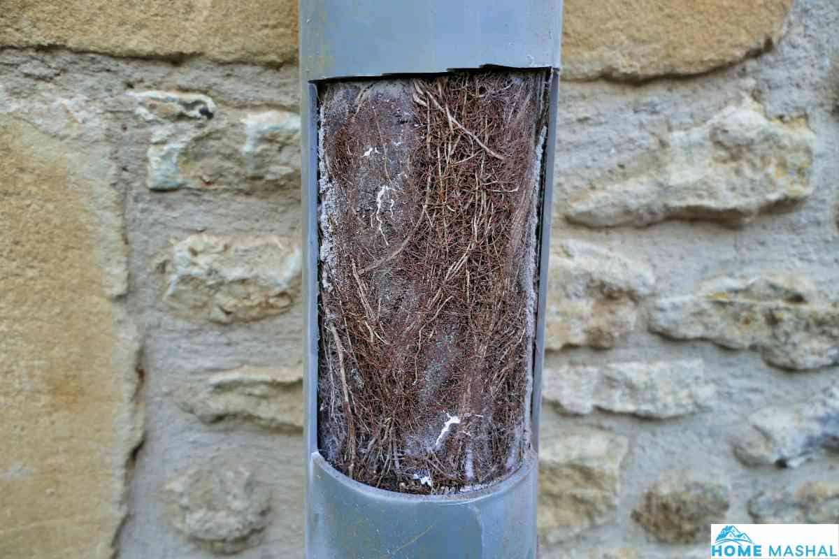 Does Salt And Boiling Water Unclog Drain?