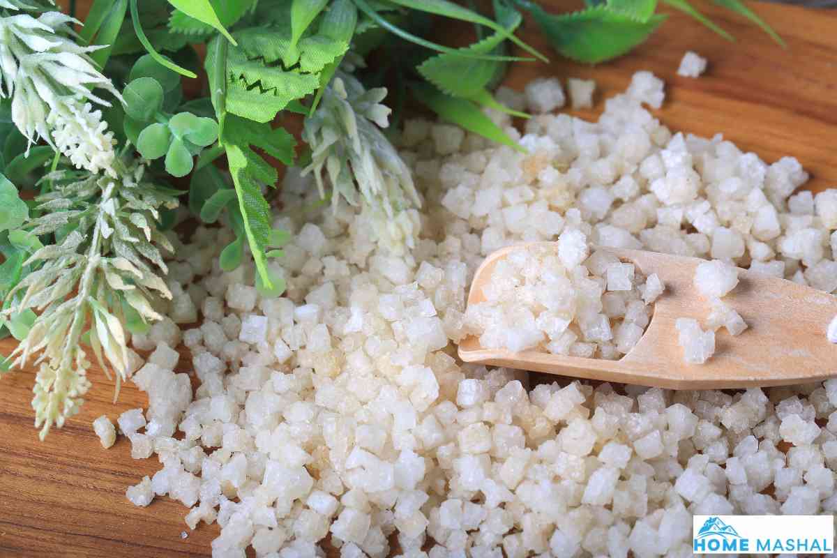 Is Epsom Salt Safe For Septic Systems? (Answered)