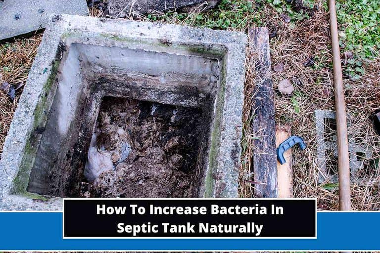 How To Increase Bacteria In Septic Tank Naturally