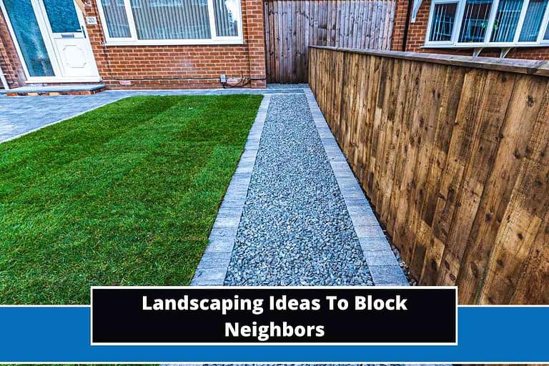 Landscaping Ideas To Block Neighbors