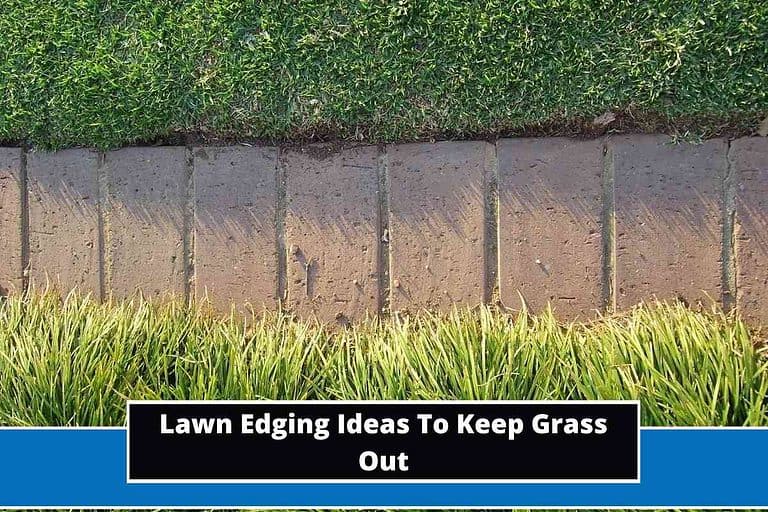 Lawn Edging Ideas To Keep Grass Out