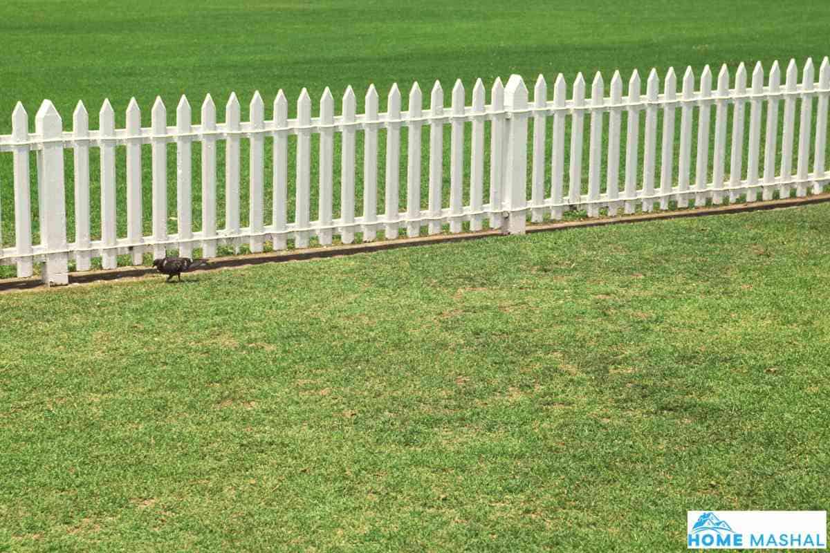 10 Best Lawn Edging Ideas To Keep Grass Out