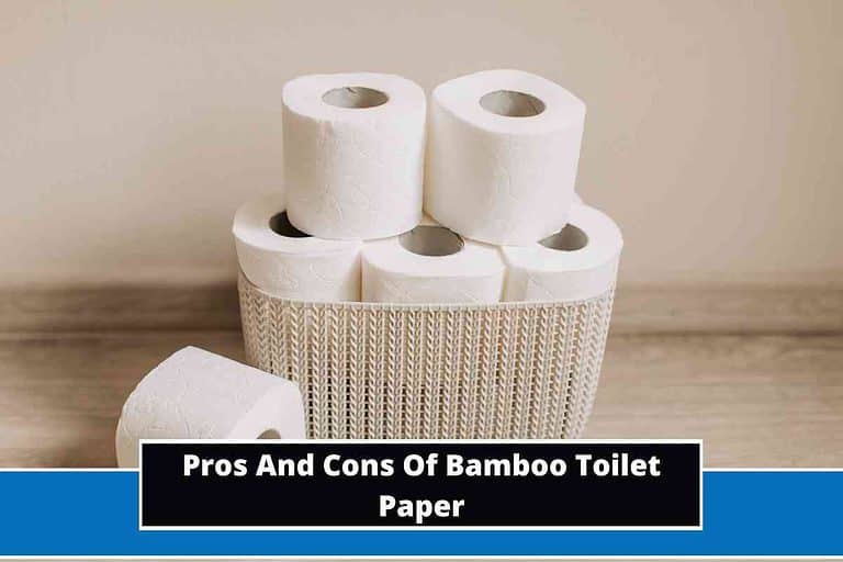 Pros And Cons Of Bamboo Toilet Paper