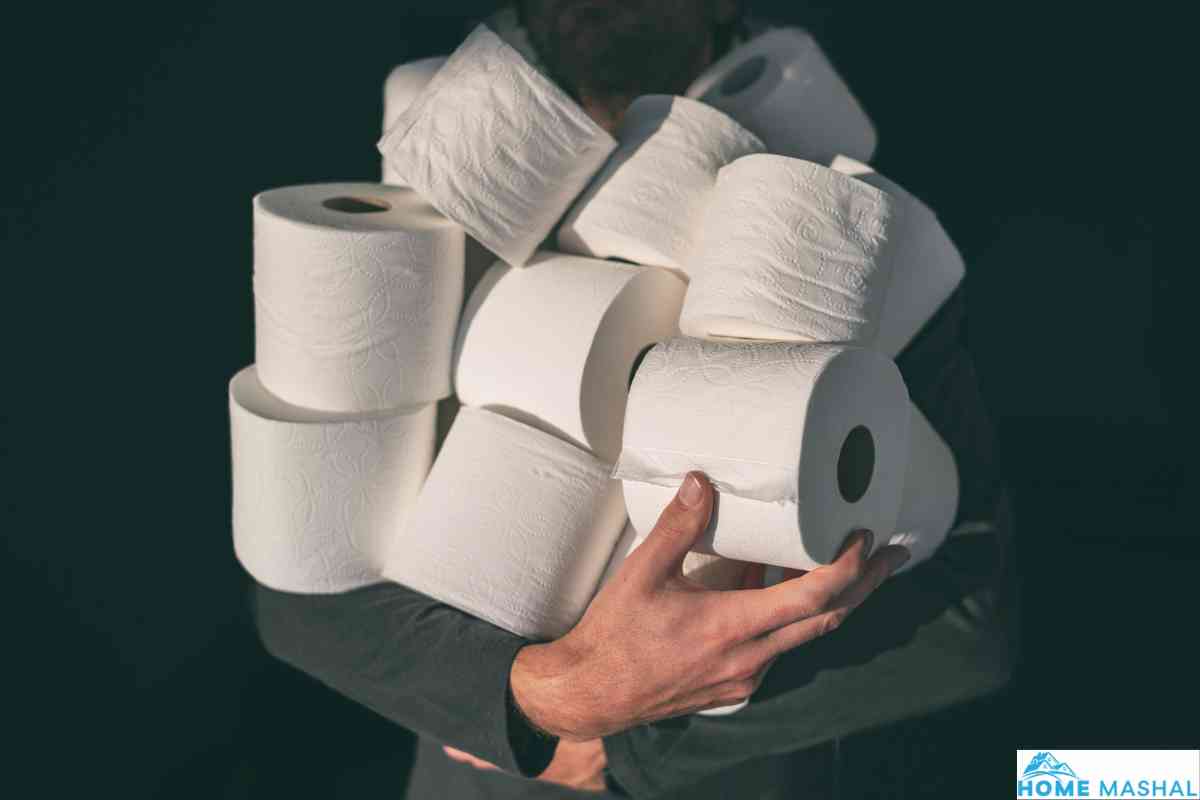 Best Toilet Papers For Septic Tank in 2024 (Buyer's Guide)