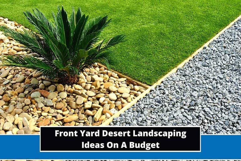 Front Yard Desert Landscaping Ideas On A Budget