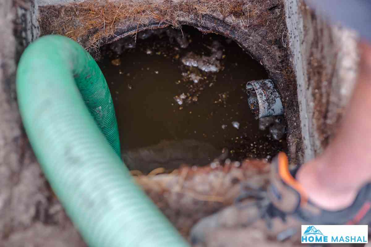 Septic Tank Full Of Water Not Draining