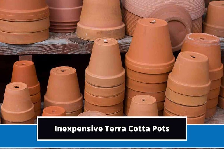 Inexpensive Terra Cotta Pots