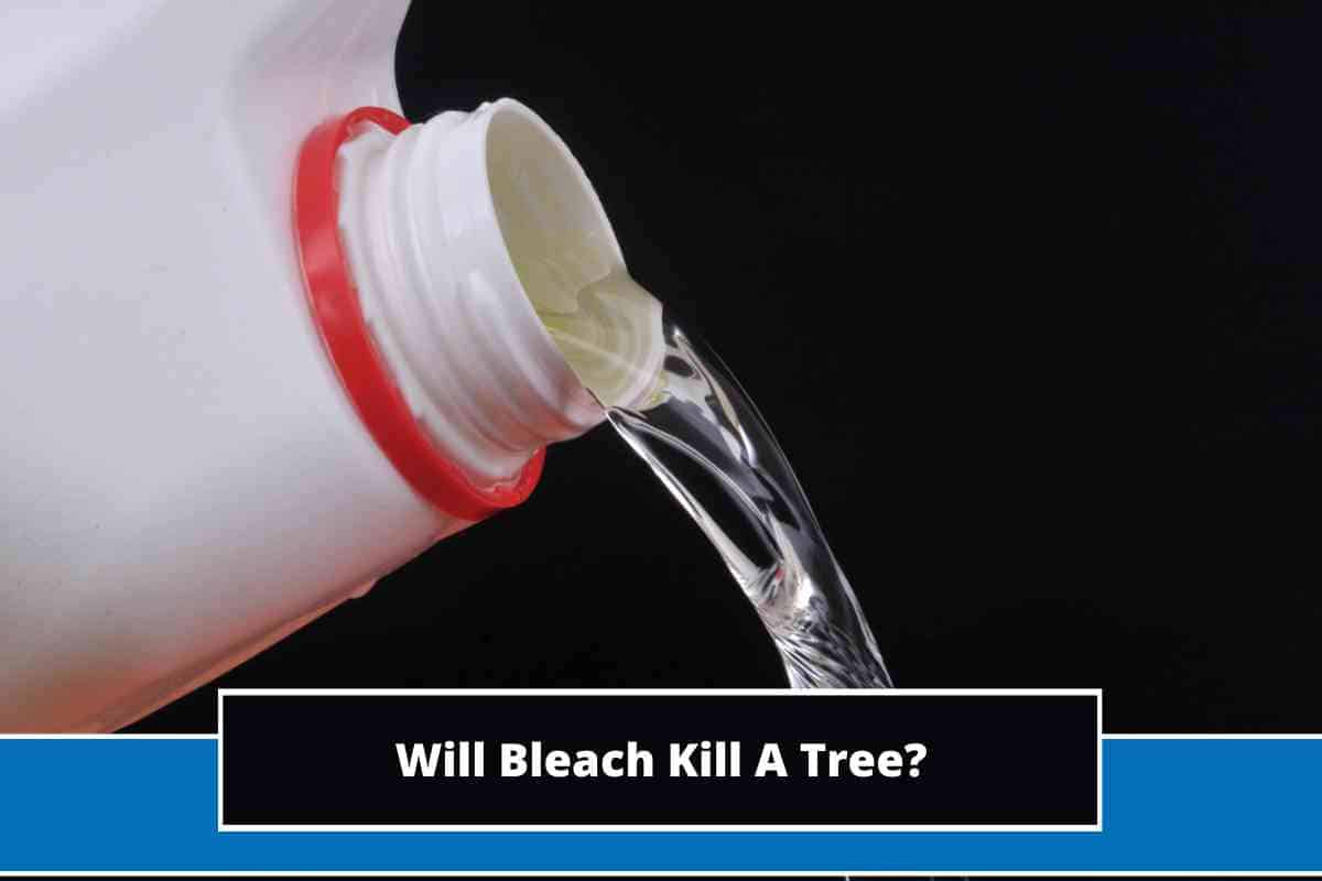 Will Bleach Kill A Tree?
